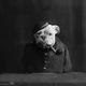 Illustration for article titled Even In The 1900s, Humans Were Obsessed With Photos Of Dogs In Clothes